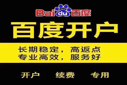 百度竞价成本控制技巧，案例分析