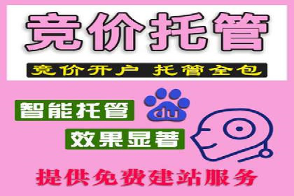 百度竞价推广与SEO结合的策略——以某科技公司为例